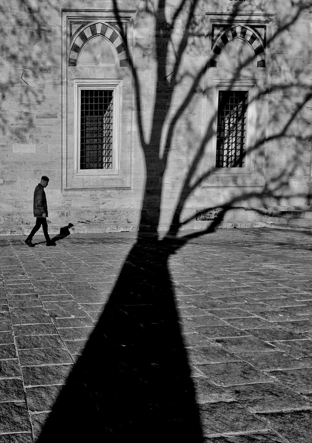 Black and white street scene of a person walking past a long tree shadow
